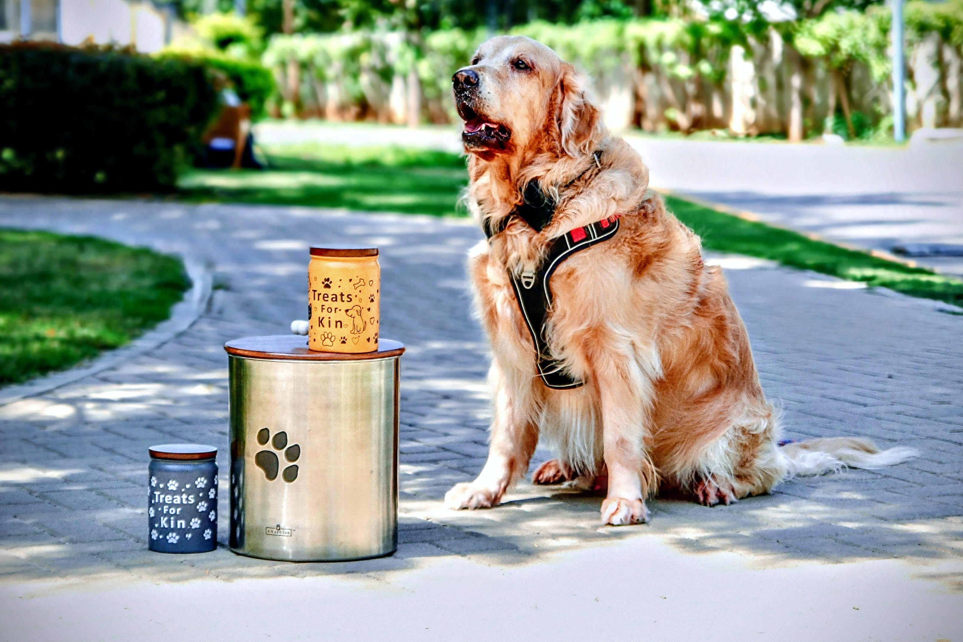 Kin and Can Difference